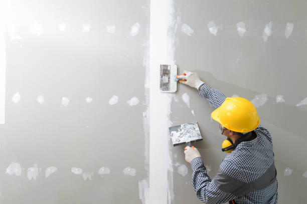 Environmental Consulting for Mold Prevention in Spencerport, NY