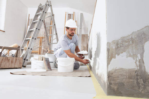 Best Mold Odor Removal Services  in Spencerport, NY