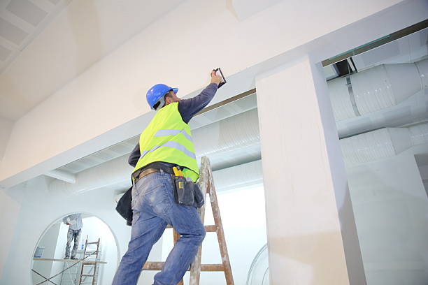 Best Attic Mold Removal  in Spencerport, NY